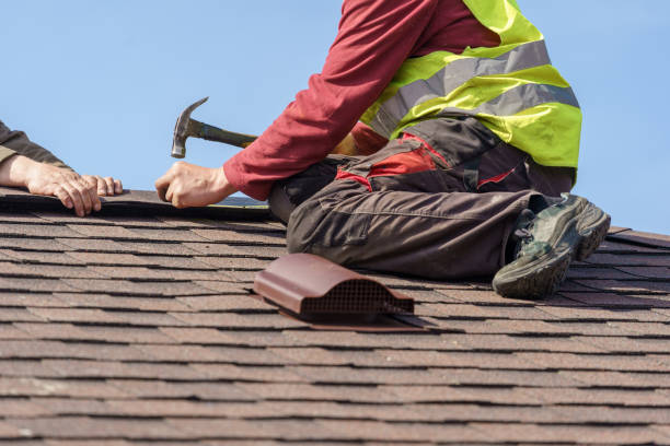 Best Roof Maintenance Services  in Young Harris, GA