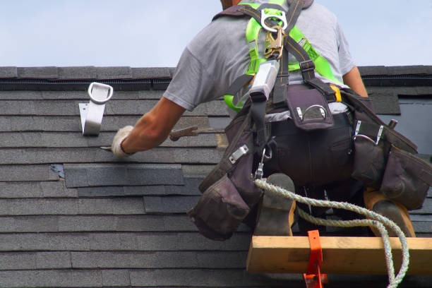 Best Roof Waterproofing Services  in Young Harris, GA