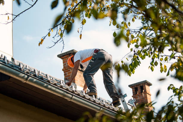 Best Residential Roofing Contractor  in Young Harris, GA