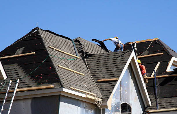 Best Roof Maintenance Services  in Young Harris, GA