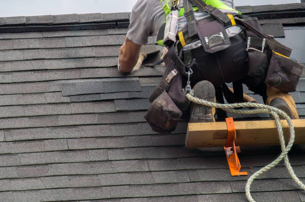 Best Storm Damage Roof Repair  in Young Harris, GA
