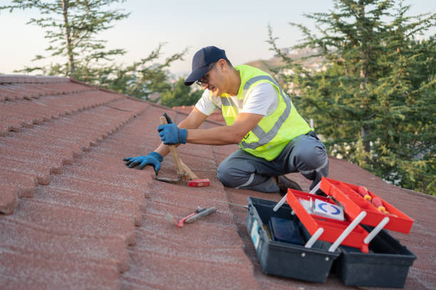 Best Affordable Roofing Company  in Young Harris, GA