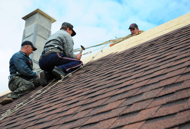 Best Roof Replacement Cost  in Young Harris, GA