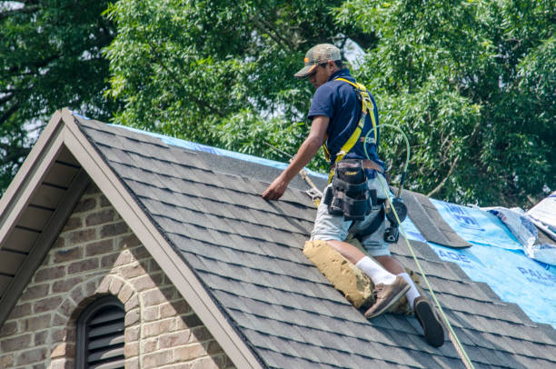 Best Metal Roofing Contractor  in Young Harris, GA