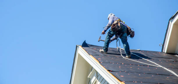 Sealant for Roof in Young Harris, GA